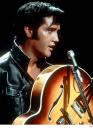 Elvis in concert