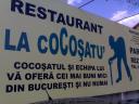 Cocosatu